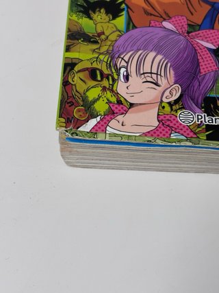 Manga Dragon Ball Saga Origen - Tomo 1 COLOR