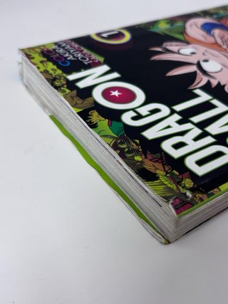 Manga Dragon Ball Saga Origen - Tomo 1 COLOR