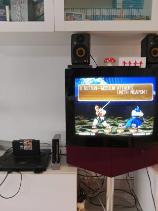 Samurai Spirits NeoGeo AES SNK