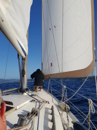Velero Alcotan 27