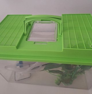 Pecera Plástico con Planta y Red