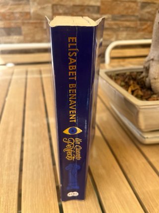 Novela Elisabet Benavent