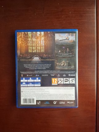 Hogwarts Legacy PS4 (PlayStation 4)