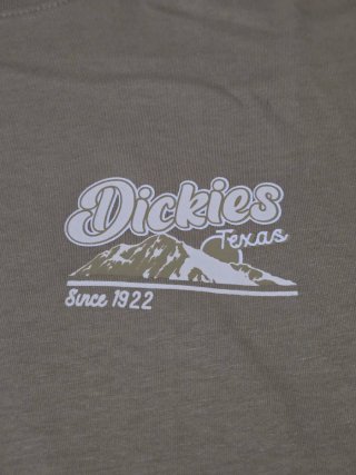 Camiseta Dickies Talla S/M Beige