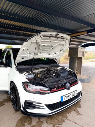 GOLF GTI TCR 2019