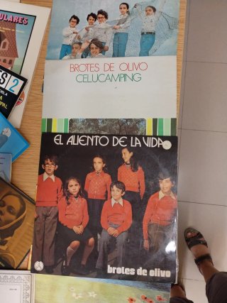 Lote 80 Vinilos LP + 11 Singles