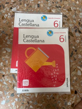 Lengua castellana 6 Primaria