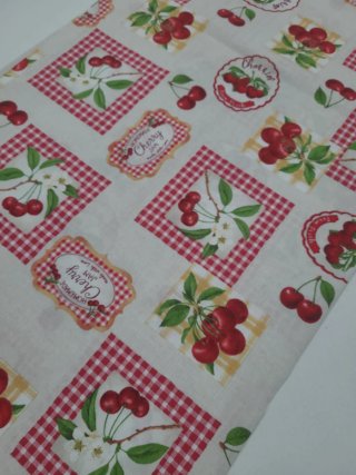 Retal 2mts x 1.40cm loneta estampada.