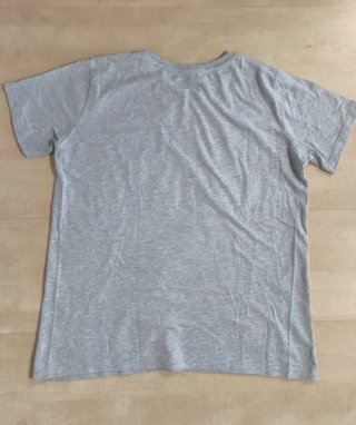Camiseta Pink Floyd Green Coast Gris
