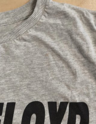 Camiseta Pink Floyd Green Coast Gris