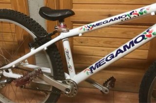 Megamo Trial