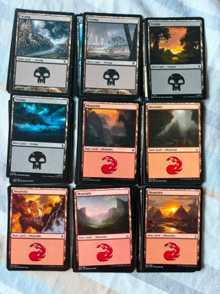 Lote 50 tierras Magic: The Gathering
