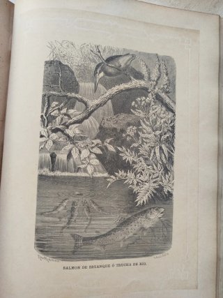 "La Vida de los Animales - A.E. Brehm - 5 Tomos