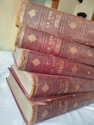 "La Vida de los Animales - A.E. Brehm - 5 Tomos