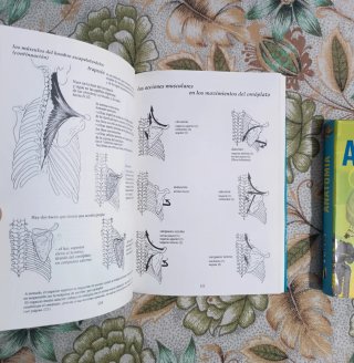 Lote 2 Libros de Anatomía y A. Para el Movimiento