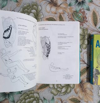 Lote 2 Libros de Anatomía y A. Para el Movimiento