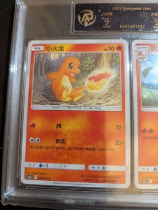 Carte Pokémon Charmander e Charmeleon RPA 9 (CHN)