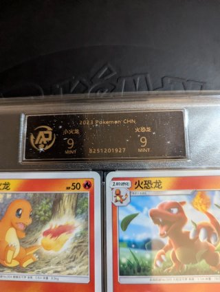 Carte Pokémon Charmander e Charmeleon RPA 9 (CHN)
