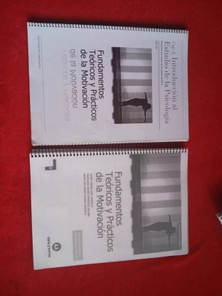 Libro y resumen de Fundamentos de la motivación