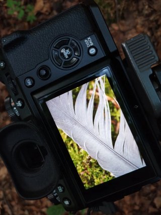 Fujinon XF60mm f/2.4 R MACRO