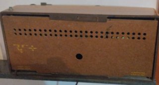 Radiomarelli Beige/Oro