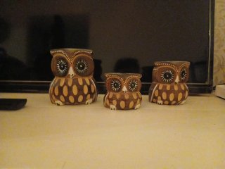 Famiglia di gufi decorativi