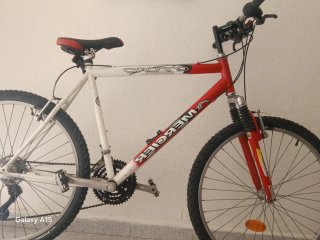 Patinete Eléctrico Xiaomi + Bicicleta Montaña