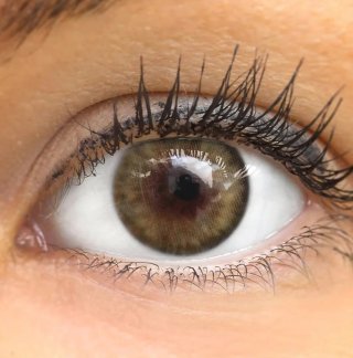 Lentillas marrones Eye Share - 1 año