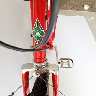 Milani MTB Anno 1990 - Mountain Bike, Vintage