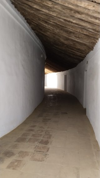 Busco albañil/pintor