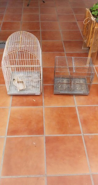 Jaulas medianas para pájaros