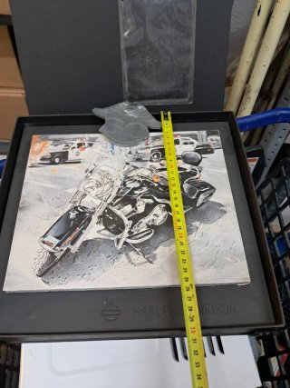Harley Davidson Placa HOG 30 Aniversario