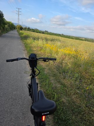 Bicicleta Eléctrica ENGWE L20 3.0 Boost
