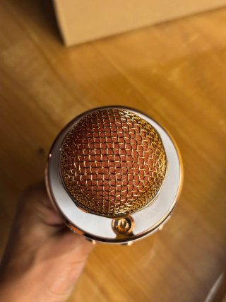 Micrófono Karaoke Inalámbrico WS-858