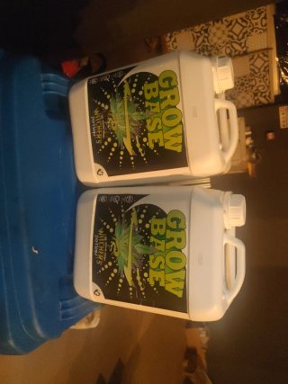 Grow Base - Fertilizzante Vegetativo