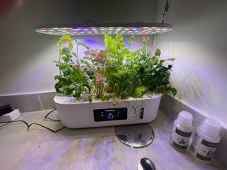 Sistema Cultivo Hidropónico Kit Interior