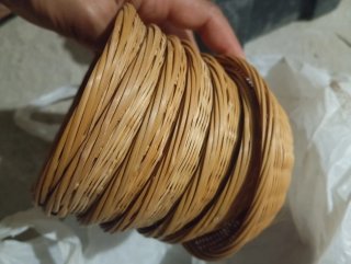 Cesti