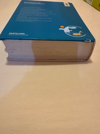 Diccionari escolar de la llengua catalana