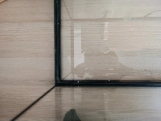 Acuario Aquatlantis para peces o tortuga