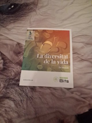 Libros de biología y geología 1 eso catalán