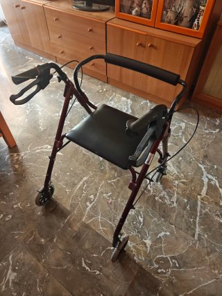 Caminador