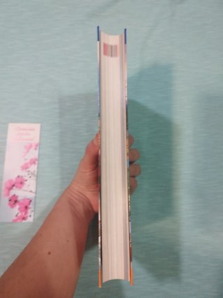 Libro Holanda - Guías Visuales - nuevo sin uso