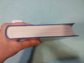 Libro Holanda - Guías Visuales - nuevo sin uso