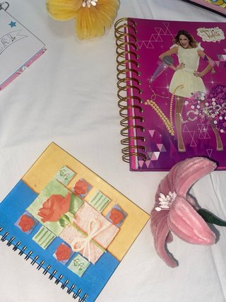 Pack 4: cuadernos, diario y agenda.