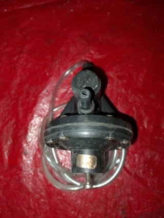 Bomba Detergente Lavavajillas Profesional