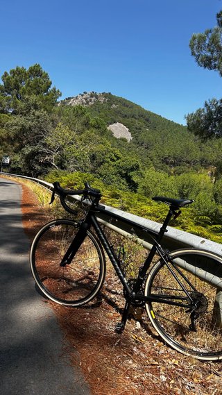 Specialized Allez