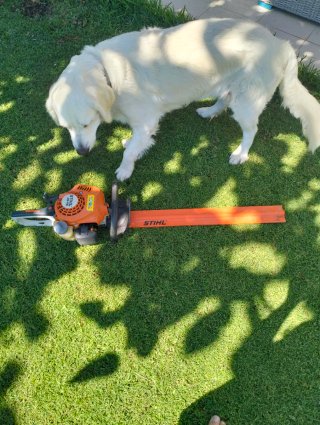 Cortasetos Stihl HS 45