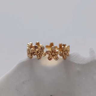 Set de anillos + ear cuff