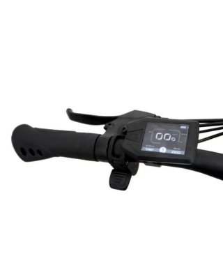 Bici Eléctrica Reebok Talla L