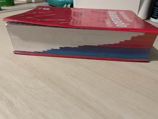 Diccionario Avanzado Primaria. Lengua española